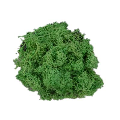 China Contact Kunming Factory Wholesale Natural Green Moss Artificial Moss Preserved Moss For Wall Making for sale