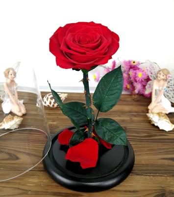 China Durable Wholesale Preserved Rose Christmas Gifts and Crafts Preserved Rose in Glass Dome on Wooden Base for sale