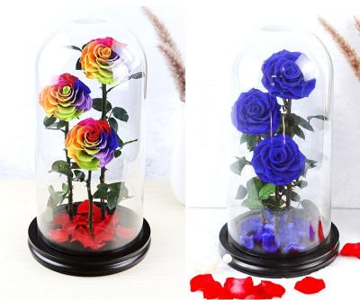 China Festival Graduation Favor Gif Natural Long Lasting Preserved Flower Real Rose In Glass Dome for sale