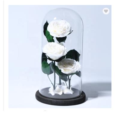 China High Quality Eternal Colorful Natural Preserved Real Celebration Roses Real Preserved In Flower Glass Box for sale