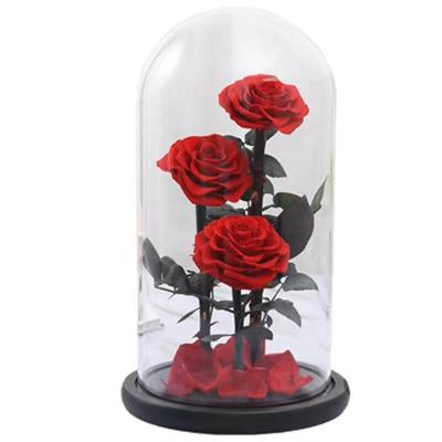 China Celebration Home Decoration Natural Preserved Blue Roses Real Long Stem Rose In Glass for sale