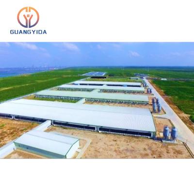 China Traditional Farm Domestic Animal House Fear Poultry Saving Steel Structure Construction Shed for sale