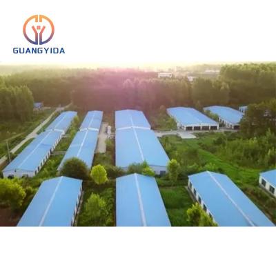 China Traditional Steel Structure Shed Construction Prefab Chicken Cages Egg Layer Poultry Farm for sale