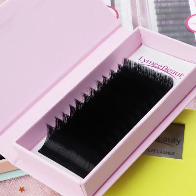 China Lymeebeauty Full Volume Lash Mix Tray J Since C CC D DD Curl Matte & Russian Lashes 12 Rows Shiny Silk Mink Volume Lash Extensions for sale