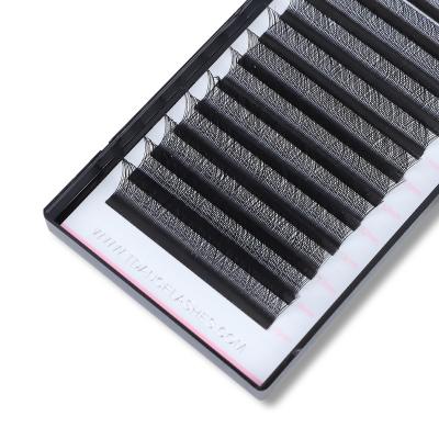 China Sensitive Wholesale Competitive High Quality Custom Eyelash Extensions Dark Black YY 2D Lashes Extension False Mink Lashes for sale