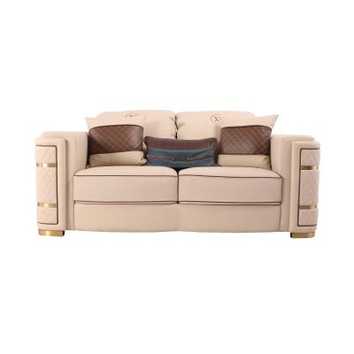 China High quality American light extended luxury leather sofa set living room furniture modern simple sofa set matching pillow for sale for sale