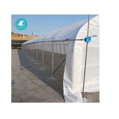 China Large Capacity / Universal Using Good Agricultural Plant JQR209610 And Outdoor Quality Greenhouse Garden Grow Tent for sale