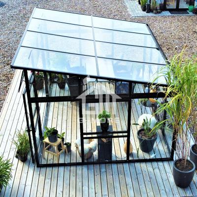 China Easily Assembled G-Plus Elegant Glass Pent Roof Sunroom Greenhouse for sale