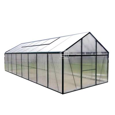 China G-MORE Professional Large Easily Assembled Commercial Greenhouse With Factory Price 8x3 Meters for sale