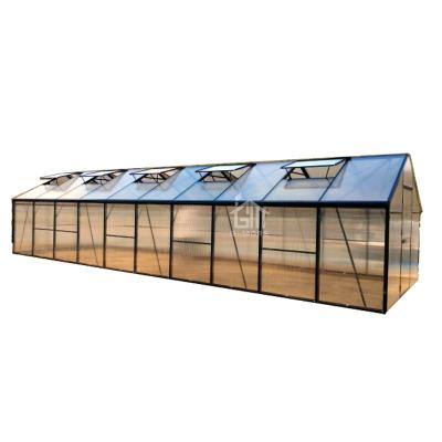 China G-MORE High Grade Reinforced Easily Assembled Hobby Greenhouse For USA Market 3M Width 10x3 Meters for sale