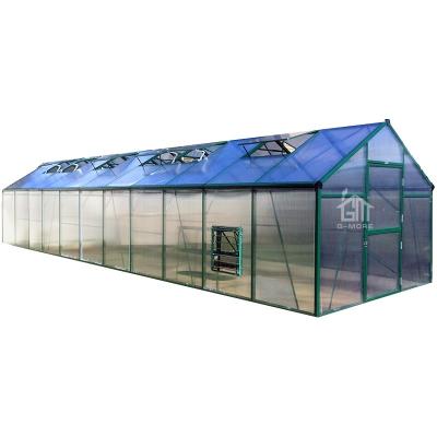 China G-MORE Easily Assembled High End Agricultural Commercial Greenhouse With 10MM PC 11x3 Meters for sale