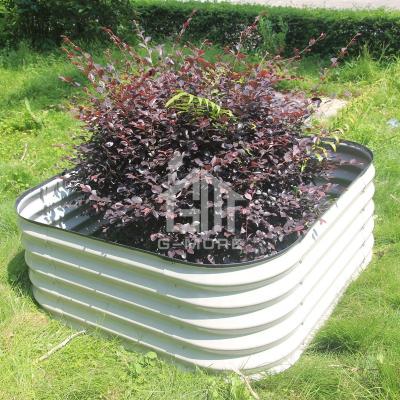 China Modern G-plus Garden Beds Raised Metal Garden Bed Galvanized Steel Oval Raised Garden Planters for sale