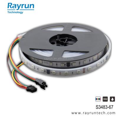 China Rayrun S3483 Digital Flex LED Strip Lighting, Pixel LED Strip for sale