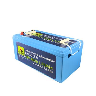 China Deep Cycle Lifepo4 Lithium Ion Battery BMS Pack 48V 60Ah 120Ah With Wide Temperature Range for sale