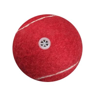 China High Quality Tennis Ball Chewing Grinding Teeth Dogs Puppy Ball Training Vocal Ball For Dog for sale