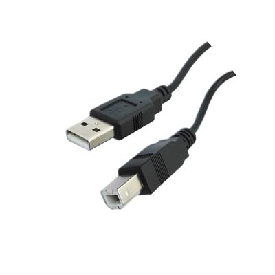 China MP3/MP4 Player China Factory USB Type A To Type B USB Printer Cable for sale