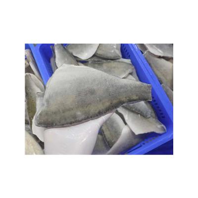 China Best Quality Seafood Fillet Hake Fish seabass for sale