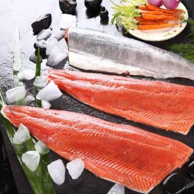 China Fresh Factory Supply Good Price Frozen Pink Salmon Fillet in Salmon en venta