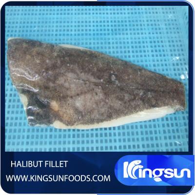 China Frozen Halibut Fillet Greenland Halibut Kingsun Foods 500-800G,800-1200G,1200G up zu verkaufen