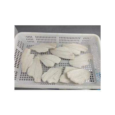 China Frozen Yellow Fin Sole Fillet for sale