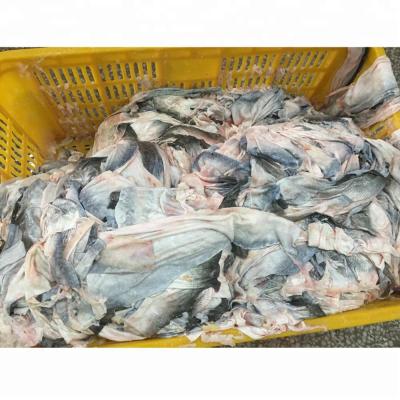 China Good Quality Frozen Vietnam Origin Basa Fish Skin for sale