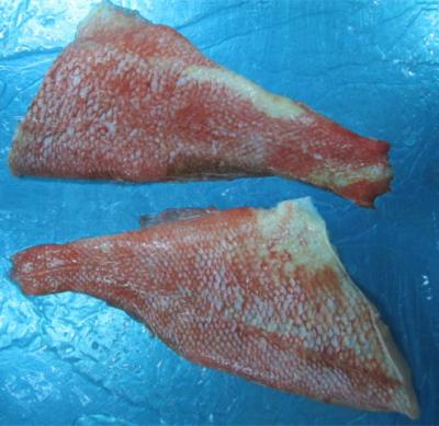 China New Processed Pacific Redfish Fillet for sale