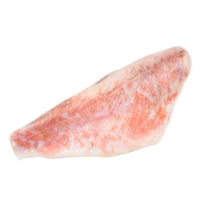 China New Porcessing Good Quality Frozen Red Fish Fillet for sale