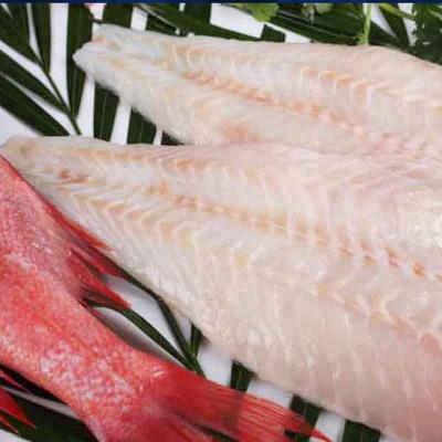 China New Arrive Wild Caught Frozen Ocean Perch Redfish Fillet for sale