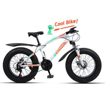 China Foreign Hot Selling 20x4 Big Tire Mountain Bikes Big Tires Mountain Bikes With Dual Dual Disc Brakes For Adults for sale