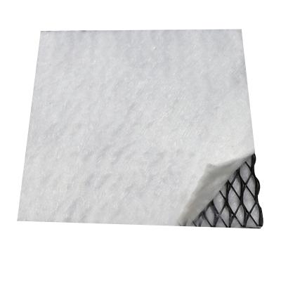 China Cheap And High Quality 3D Drainage Net Contemporary Composite Drainage Net for sale