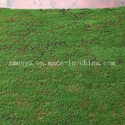 China Mosos de alfombra verde de plástico para decoración de paredes ecológicas Duración de vida dentro de 5-10 años en venta