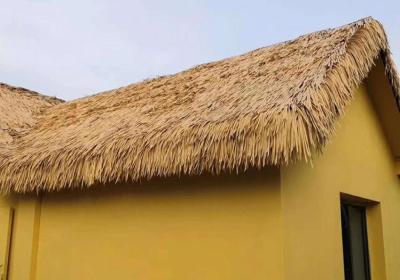 Китай Hotel Ceiling Tile Natural Thatching Material / Eco Friendly Thatch Roofin With Natural Color продается