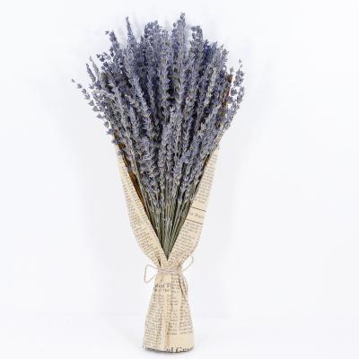 China Outdoor Indoor Decoration Reasonable Price Dried Preserved Lavender Flower Bouquet Wholesale Dried Flower for sale