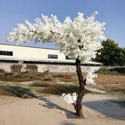 China Hot Selling Outdoor Home Decor Outdoor Indoor Home Decor Fake Large 7 Feet White Artificial Cherry Blossom Tree for sale