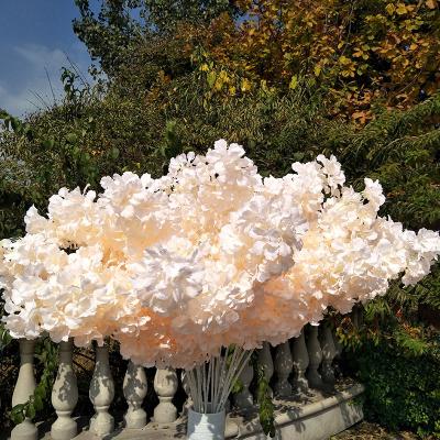 China Wedding Indoor Outdoor Long Cherry Champagne White Pink Sakura Flower Oriental Decorative Cherry Blossom Branch Artificial Decoration Silk for sale