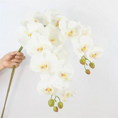 China Real Touch Orchid Plant Real Touch Flowers Natural Artificial Fake Flower Orchid White Phalaenopsis Silk Flowers For Home Decor for sale