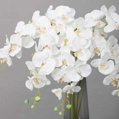 China Natural Touch Artificial Flower Orchid Flower Natural Butterfly Orchid For Decor Decorative Orchid Flowers for sale