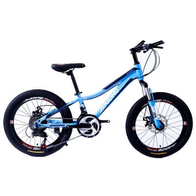 China Manufacturer 20 Inch Steel Children MTB Bike Kids Adult Bicycle Road Bike Bycycle for sale