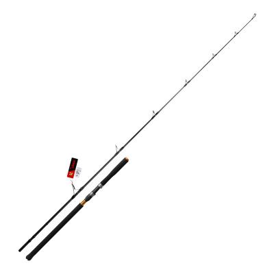 China Wholesale Carbon NOEBY Japan High Carbon Tuna Spinning Big Fish Fishing Rod for sale