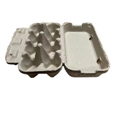 China Factory Made Recyclable Paper Pulp Chicken Egg Tray Egg Tray Paper Pulp Molding Use Sugarcane Pulp For Raw Material for sale