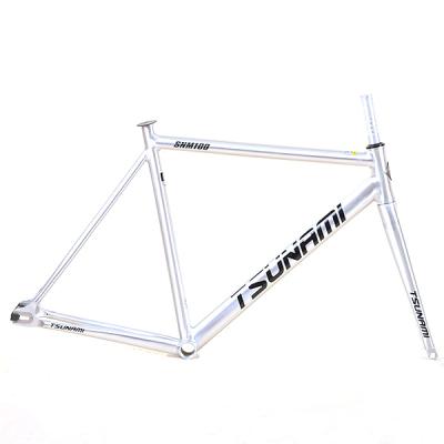 China SNM 100 Factory Supply Parts Manufacturer SNM 100 Bicycle Fixed Frame Bicycle Gear Aluminum Fixed Frame For Sale for sale