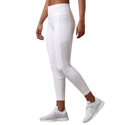 China OEM Mesh Fitness Yoga Pants Gym Tight Quick Dry Women Yoga Pants Breathable Sexy Gaiters Pants Gaiters for sale