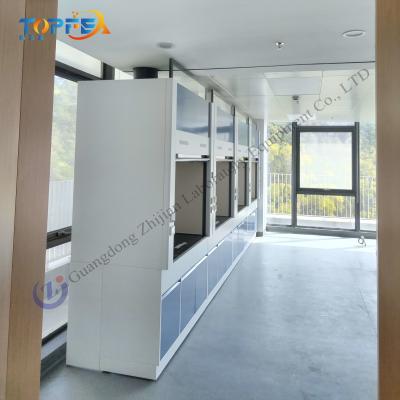 Chine Low Maintenance Steel Fume Hood with High Airflow and Optional Fan à vendre