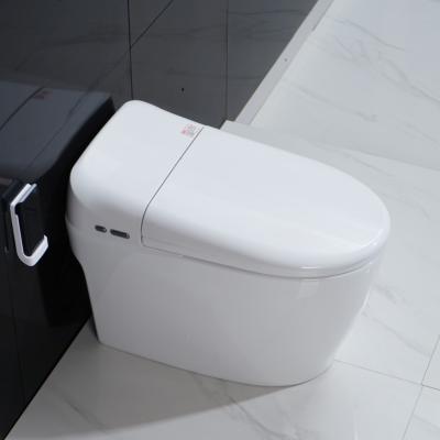 China Intelligent Built-in Double-Flow Toilet Automatic Flush Cleaning Multifunctional Smart Toilet Seat for sale