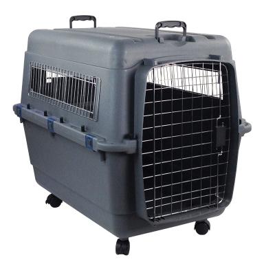 China Stocked Made in China Top Quality Mobile ABS Resin Transfer Pet Case Plastic Pet Air Box with Bowl for sale