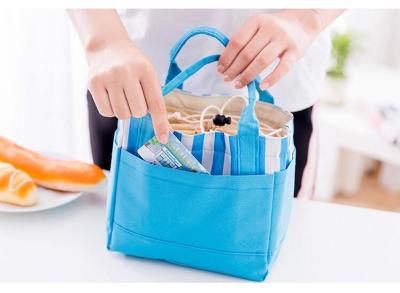 China Portable Insulated Lunch Bags Customized Colors With Heavy Duty Fabric for sale