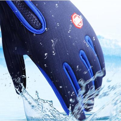 China Windproof Knitted Hand Gloves For Gym , Gym Training Gloves Non Slip for sale