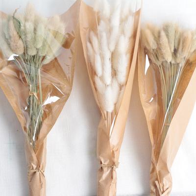 China Natural dry flowers wholesale natural dry flower bouquet bunny tail grass for sale