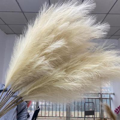 China 2021 Beautiful Artificial Flower Fake Pampas Grass Beige Artificial Pampas Grass China Factory Supply Colorful Great For Home Decor for sale