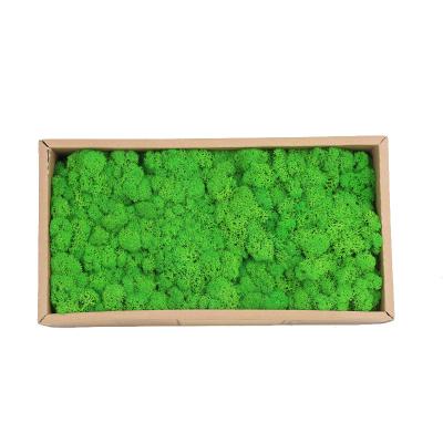 China Home Plant Moss Panel 500g Yunnan LD Flower Room Decor Wall Decor Preserved Moss For Moss Wall Art for sale